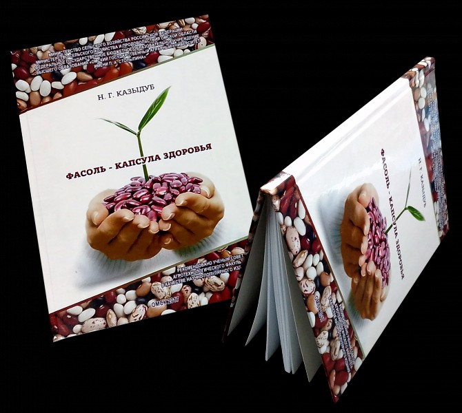 pic3943872.jpg