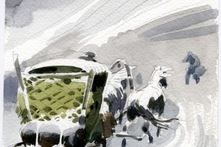 Отрывки из повести "Капитанская Дочка"