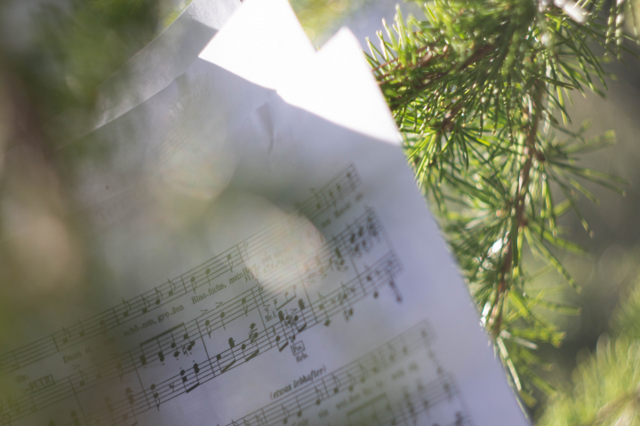 "Любовь настала" Раймонда Паулса и Роберта Рождественского.