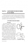 Макет книги