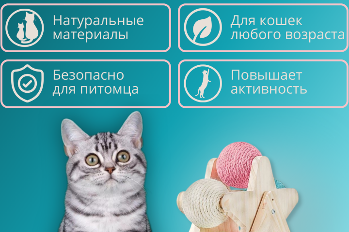инфографика