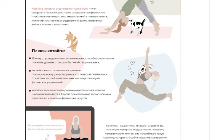 Инфографика про котойогу