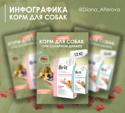 Инфографика. Корм для собак