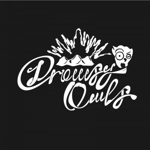 Drowsy Owls