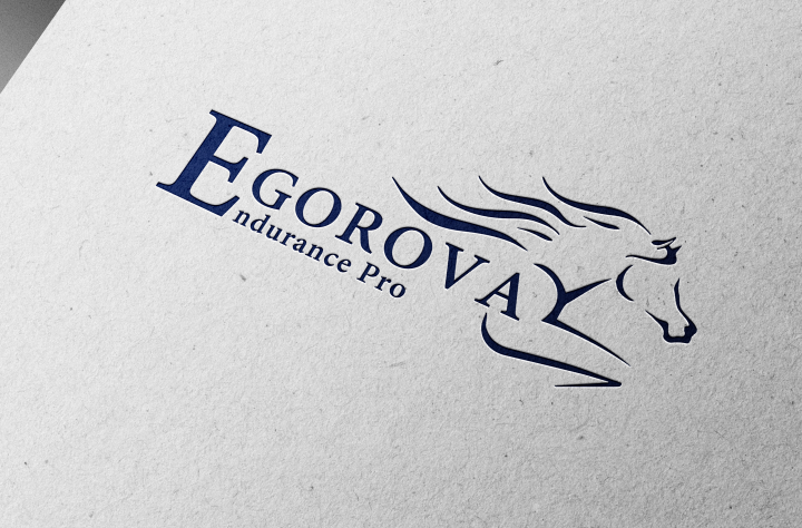Логотип для конной команды