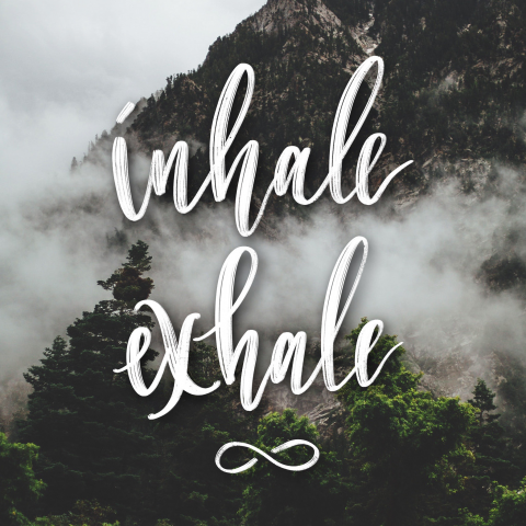 Каллиграфия