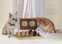 страница календаря А3