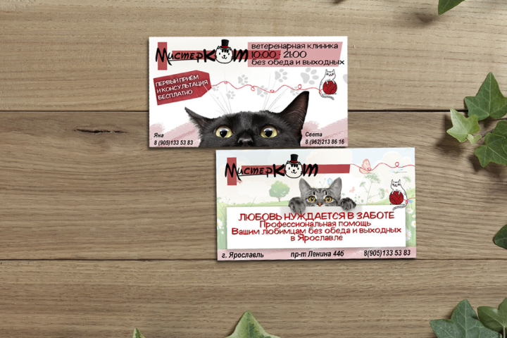 Визитки мистер кот