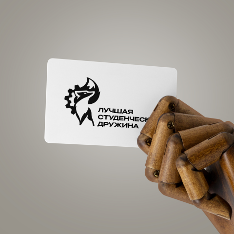 Лучшая студенческая дружина