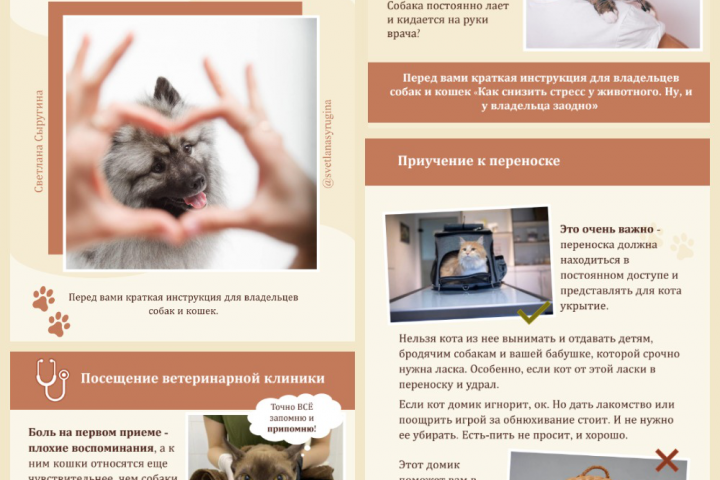 Дизайн гайда для ветеринарного врача