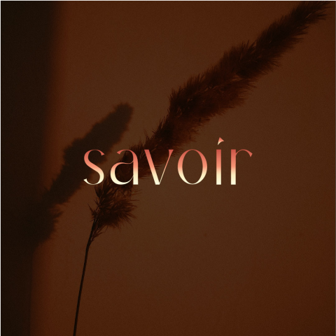 Шрифтовой логотип