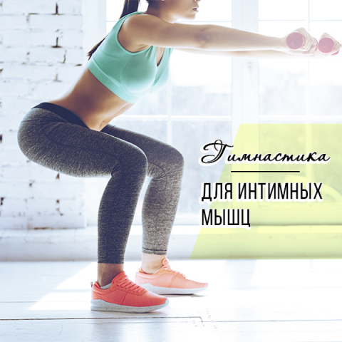 Работа 3375883