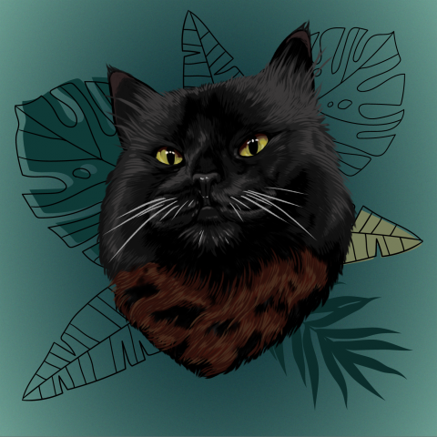 Котик