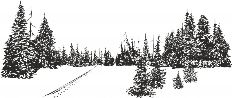 pic4398988.jpg