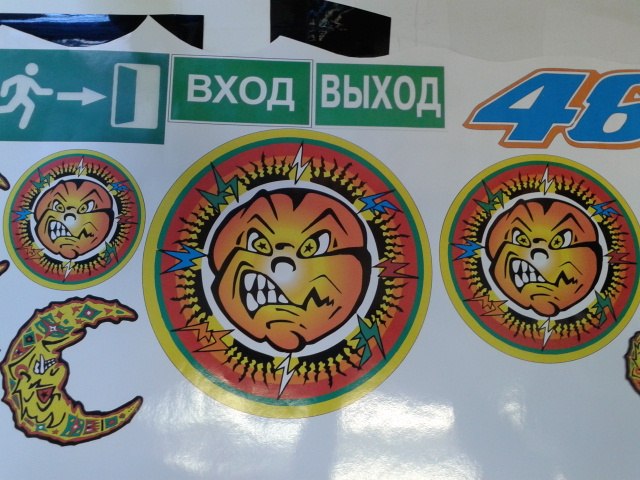 pic2412901.jpg