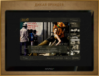 Имиджевый сайт компании Дикая Орхидея сезон весна-лето 2008