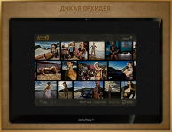 Имиджевый сайт компании Дикая Орхидея сезон весна-лето 2008