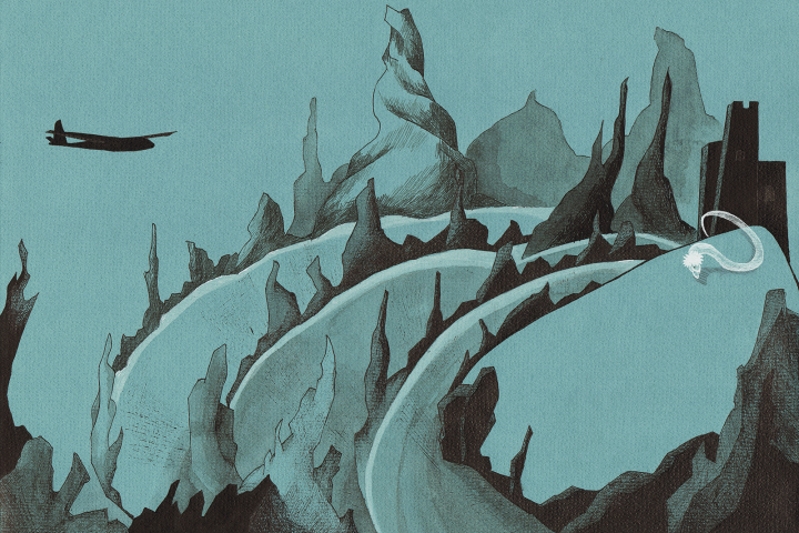 Иллюстрация 4