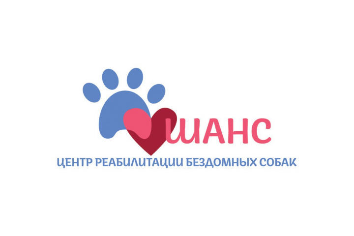 Дизайн логотипа