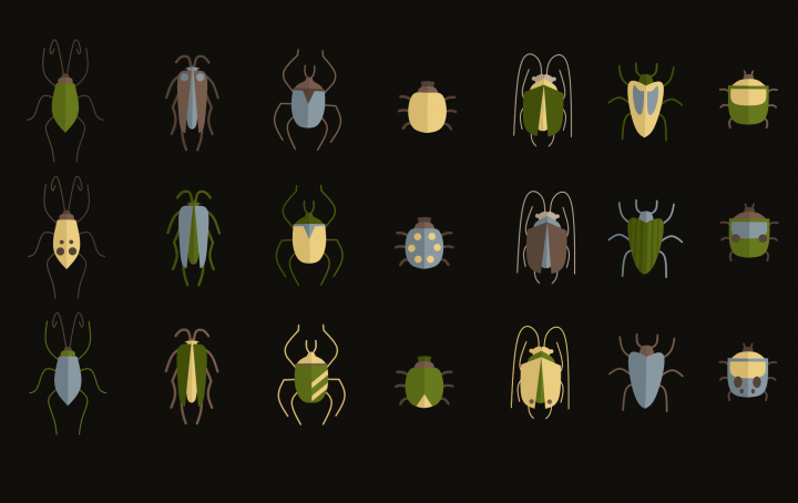 Сет из жуков