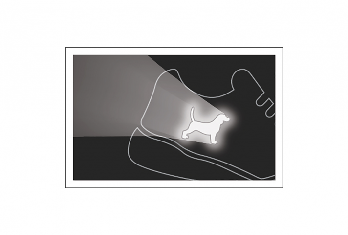 reflective element