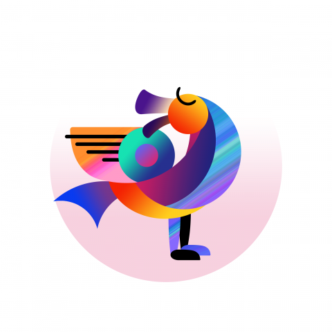 Duck