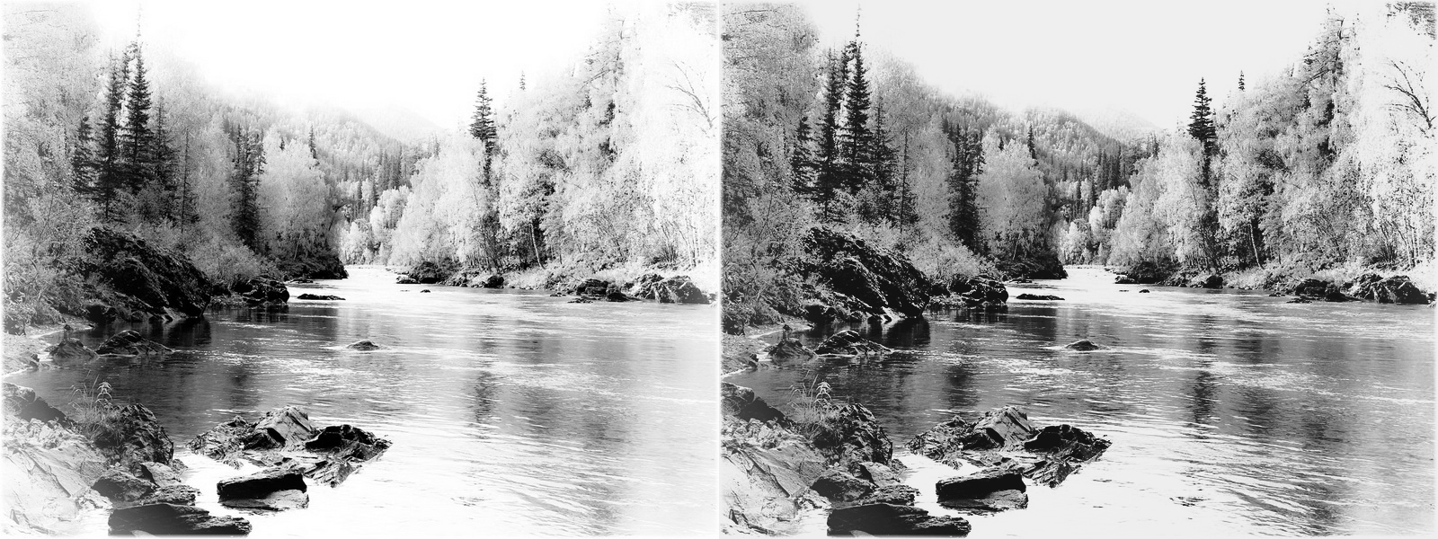 pic4252585.jpg