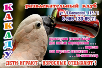 щит_клуб_5