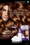Сити-формат Schwarzkopf