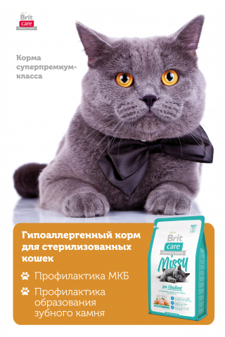 Макет 120x180 см