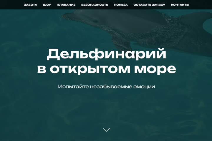 лендинг