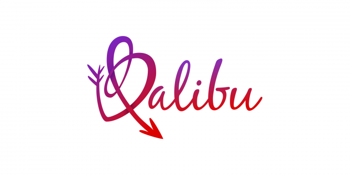 Логотип для сайта знакомств "Balibu"