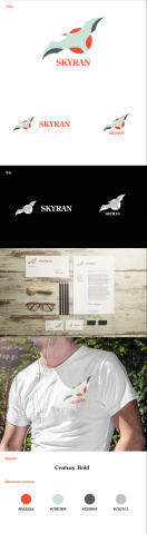 Лого SKYRAN