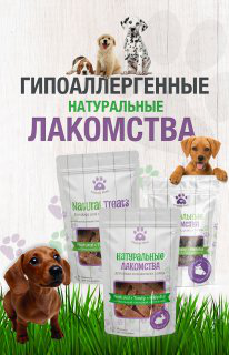 Баннер