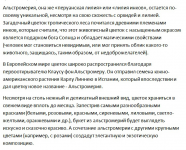 Описание цветов