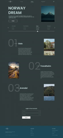 Тур в Норвегию