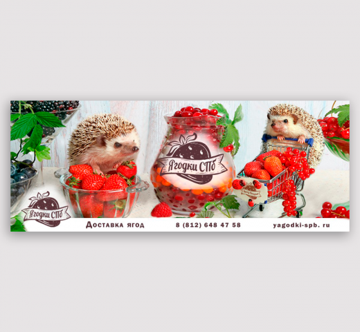 Баннер для сайта