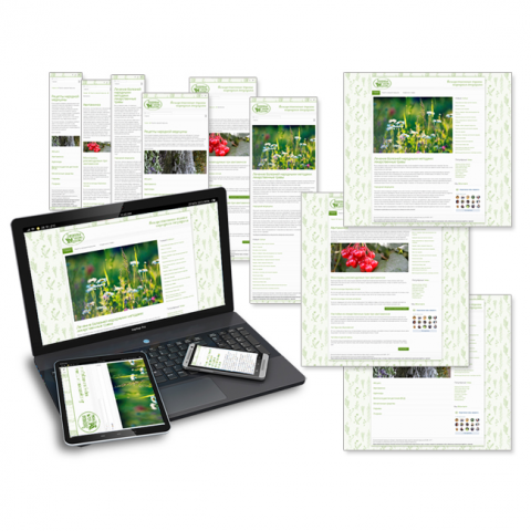 Работа 3694280