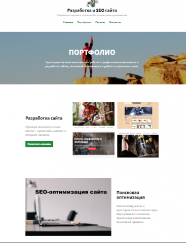Портфолио
