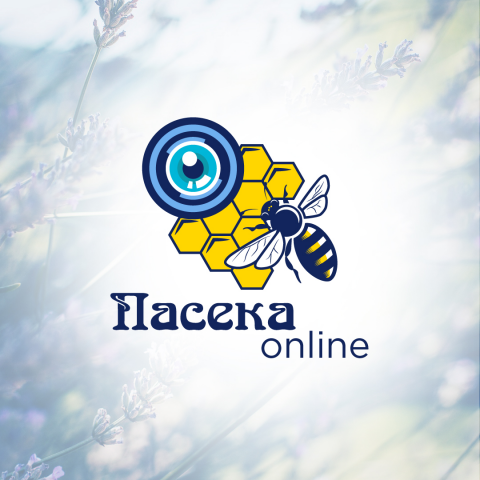 Логотип Пасека онлайн