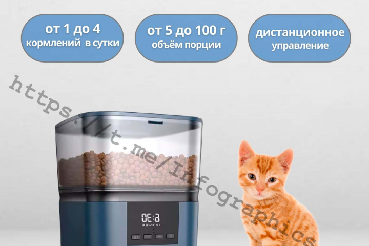Автокормушка для кошек и собак