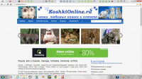 Создание сайта на движке WordPress. Опыт работы 3 года