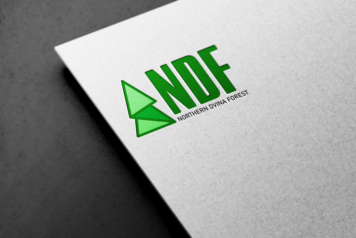 Логотип NDF