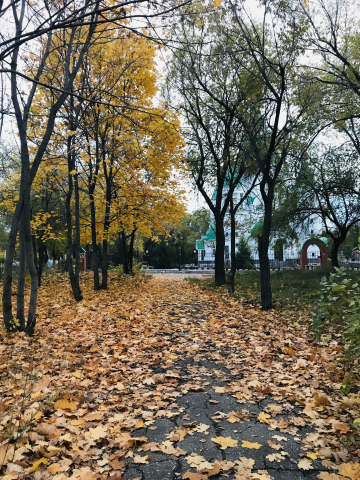 Осень