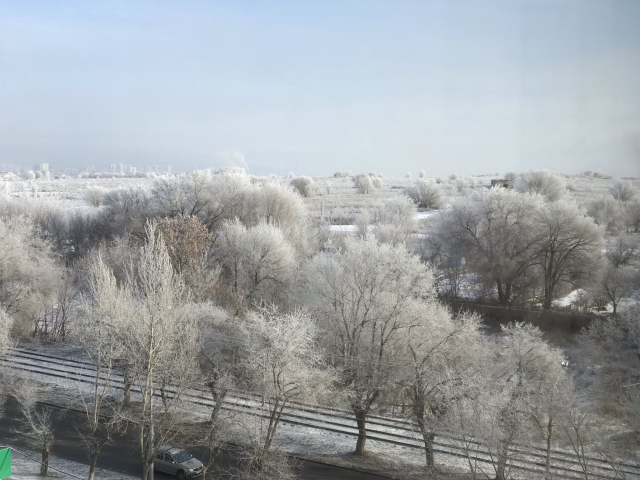 Первый снег