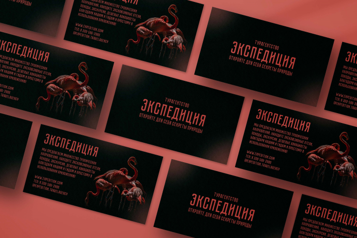 Визитная карточка для турагентства Экспедиция