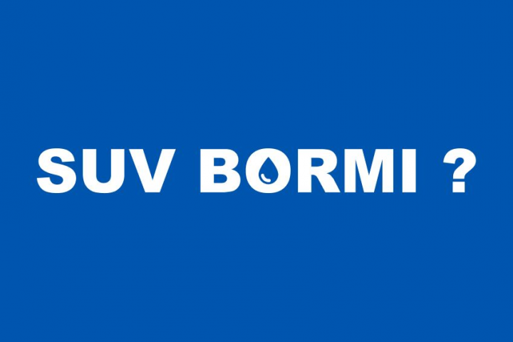 Логотип для компании "Suv Bormi"