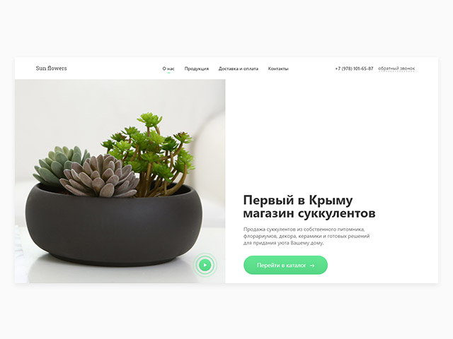 Магазин суккулентов