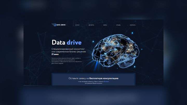 Сайт консалтинговой компании Data Drive