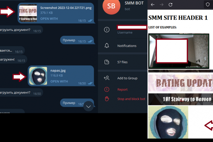 Бот для загрузки фото в БД